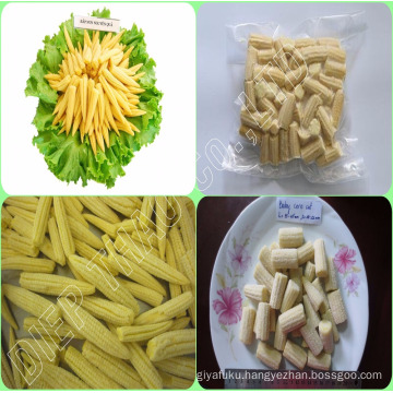 FROZEN WHOLE BABY CORN/ BABY CORN CUT